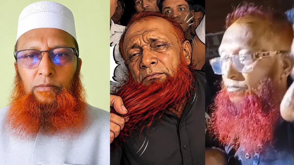 জয়নাল আবেদীন